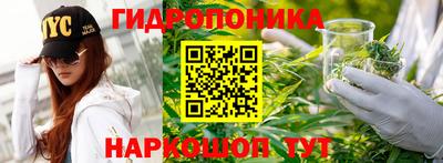 дмт Заводоуковск